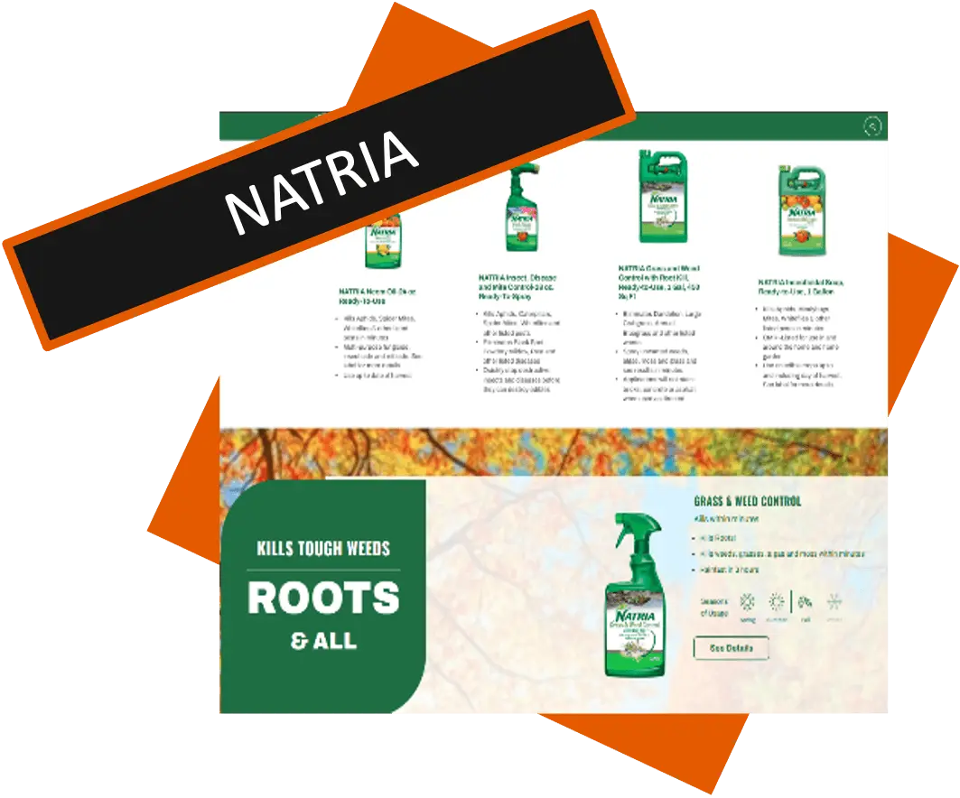 Natria Solution Wireframe Integration