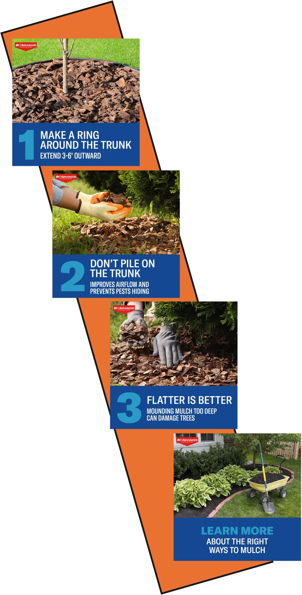 BioAdvanced Multi-Step Educational Campaign Creative Layout